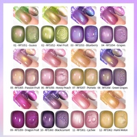 R S Nail Logo Personnalisé Vegan Semi Permanent Kiwi Pêche Raisin Gel Vernis Brillant Magnétique Fruit Cat Eye Gel