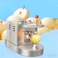 Machine à éplucher les pommes à prix raisonnable, éplucheuses de légumes, machine simple pour éplucher les carottes