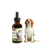 Suplemento Herbal Líquido para el Soporte Renal con Absorción Rápida, Totalmente Natural para una Función Renal y Urinaria Saludable en Gatos y Perros