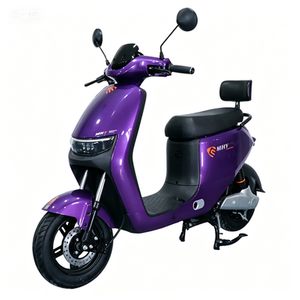 <span class=keywords><strong>Moto</strong></span> électrique 800W en promotion – Vélos électriques pour adultes - Product Image 6
