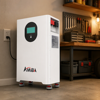 Batterie murale 32 kWh 314 Ah 51,2 V LiFePO4 pour système de stockage d'énergie domestique mural, alimentation de secours solaire