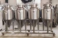 Réservoir conique de Fermentation de bière Top man way de 300l avec doseur à hop
