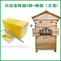 Nouvelle ruche automatique en bois pour apiculture avec système de miel auto-fluideur et pour cadres de ruche