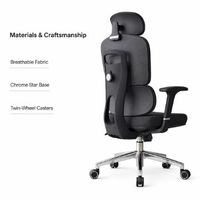 Chaise de bureau ergonomique en maille 720 °   Chaise de bureau réglable avec support lombaire adaptatif et accoudoirs, structure en aluminium, pour la maison et le bureau