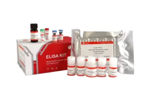 Con người interleukin-alpha (TNF-a) ELISA kit