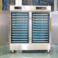 Usine Riz Couronne Électrique Alimentaire Vapeur Cuiseur Vapeur Électrique Multifonctionnel Cuiseur À Vapeur Rectangulaire
