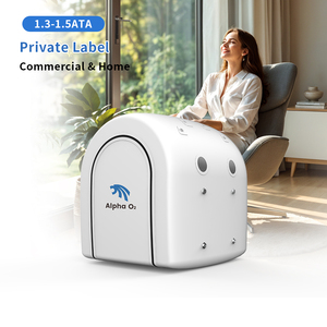Chambre hyperbare à oxygène en promotion pour la thérapie de la décompression des pieds diabétiques, de la <span class=keywords><strong>plongée</strong></span> et de l'autisme, pour usage domestique humain - Product Image 1