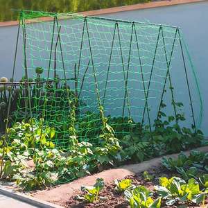 Malla de soporte para plantas de agricultura Huike de plástico con corte y estiramiento para pepinos, <span class=keywords><strong>guisantes</strong></span> y frijoles - Product Image 4