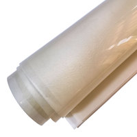 Feuille de celluloid transparente, feuille de composition en nitrate de cellulose, film de celluloid translucide en nitrate de cellulose
