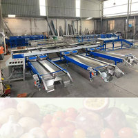 Automatische olijven sorteermachine voor groenten/fruit, maat sortering, reiniging, drogen, 304 roestvrij staal, capaciteit 2-10 ton