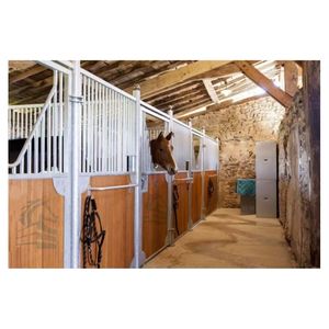 Écuries Portables Galvanisées Personnalisées et Équipements de Box pour Chevaux Préfabriqués Granges Européennes d'Extérieur pour Chevaux - Product Image 1