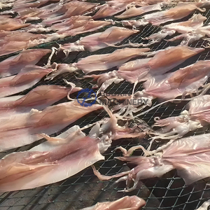 เครื่องอบแห้งปลาคาร์พดำ <span class=keywords><strong>ปลา</strong></span>กะ<span class=keywords><strong>พง</strong></span>เหลือง เครื่องอบแห้งเนื้อ<span class=keywords><strong>ปลา</strong></span> อุปกรณ์อบแห้งอาหาร - Product Image 2