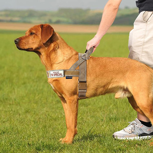 Tessitore personalizzato triangolo tattico imbracatura per cani in Nylon stile tattico imbracatura per animali domestici Set di lusso - Product Image 2
