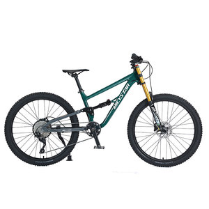 จักรยานเสือภูเขา All Mountain Mtb ลดราคา/จักรยานเสือภูเขาสำหรับผู้หญิงขนาด 29 นิ้ว แบบ Downhill Full Suspension/จักรยานเสือภูเขาแบบ Downhill Full Suspension - Product Image 3