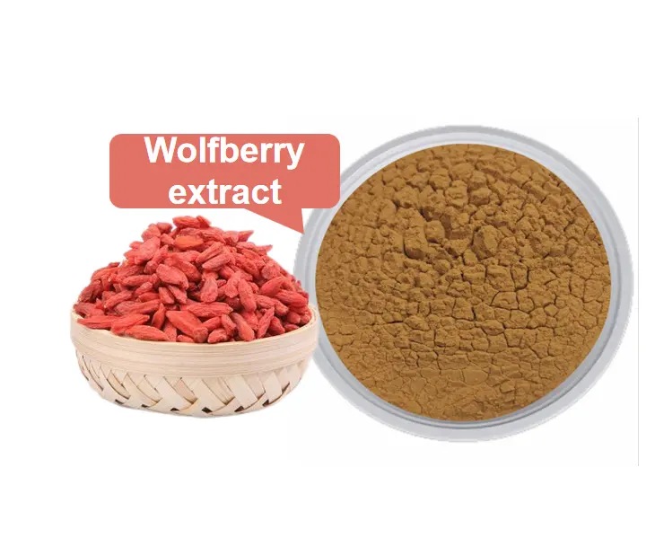 Extrato de Wolfberry chinês por atacado puro 10%-50% Polissacarídeos Goji Berry Extrato de Lício Barbarum Natural em Pó
