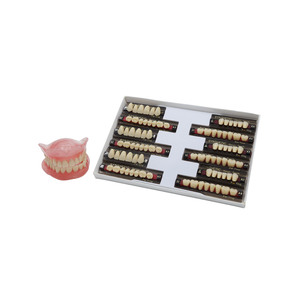 Prótesis Dentales Anteriores de Resina Acrílica de 2 Capas, <span class=keywords><strong>Dentadura</strong></span> <span class=keywords><strong>Superior</strong></span> e Inferior - Product Image 1