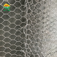 Panier gabion en treillis métallique galvanisé en spirale avec revêtement PVC, calibre 2,4-5 mm, pour contrôle des inondations, service de découpe, vente en gros