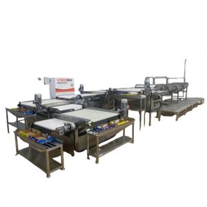 Máquina Automática de Clasificación, Calibración, Selección, Pesaje y Empaquetado de Arándanos - Product Image 3