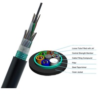 Cable de Fibra Óptica Blindado para Exteriores GYTS GYTA, 12, 24, 36, 48, 72, 96, 144, 288 Hilos, G652D, Acero Corrugado, Monomodo, para Entierro Directo en Ductos