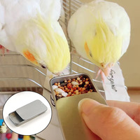 Jouet d'équilibre pour oiseaux portable en gros, jouet d'entraînement à l'intelligence pour oiseaux, vélo pour oiseaux avec roue antidérapante, jouet pour perroquet, jouet pour oiseaux