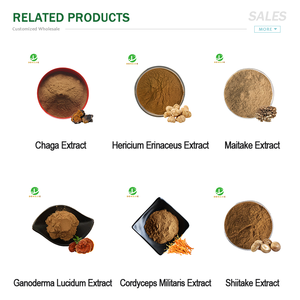 天然キノコ粉末キングオイスターマッシュルームエキスキングオイスターマッシュルーム多糖健康食品サプリメント - Product Image 5