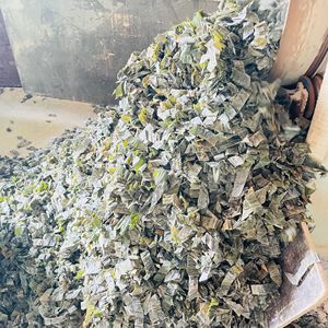 Commercio all'ingrosso diretto della fabbrica strisce di alghe essiccate senza sale Laver alla rinfusa per uso commerciale di piatti caldi frutti di mare essiccati - Product Image 4