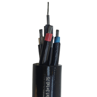 Cable de Minería Tipo 241 HD-85-PCP, Cobre EPR Ignífugo, Conducto Metálico para Minería, Cableado Subterráneo, Clase IP54 C