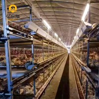 Alta calidad, diseño moderno, cría de acero, planta de cultivo, vivero, vaca, Granero, cobertizo prefabricado para aves de corral, para ganado, cabras y ganado