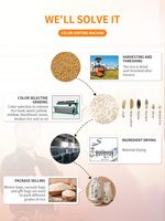 Moulin à riz électrique, tri des couleurs, pour agriculture, vente en gros, 2021