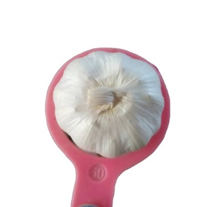 <span class=keywords><strong>Ajo</strong></span> Fresco Súper Blanco con Base <span class=keywords><strong>de</strong></span> Cultivo a Gran Escala, <span class=keywords><strong>Ajo</strong></span> Chino para Distribución Mayorista <span class=keywords><strong>de</strong></span> <span class=keywords><strong>Ajo</strong></span> - Product Image 6
