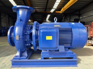 Pompe à eau centrifuge horizontale de calibre 65 mm avec un débit de 25 mètres cubes par heure - Product Image 4