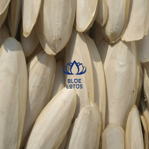 Vente chaude exportation en vrac d'os de seiche - Product Image 1