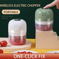 Hete Aanbieding Draagbare Elektrische Mini Knoflookpers van Voedselveilige Kwaliteit met USB Oplading