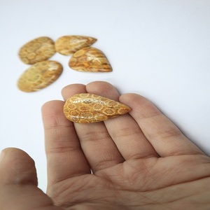 Cabujón de Coral Fósil de Piedra Preciosa Natural, Piedras Decorativas Únicas para Joyería, Manualidades y Decoración del Hogar, por Gramo - Product Image 3