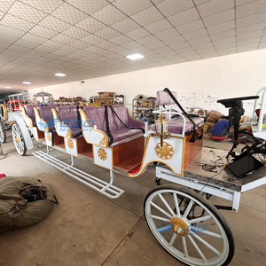 รถม้าไฟฟ้าดีไซน์คลาสสิคแบบเปิดประทุน 4 ล้อ พร้อมวิวพาโนรามา และบริการชมวิวฟรีสำหรับขาย - Product Image 3
