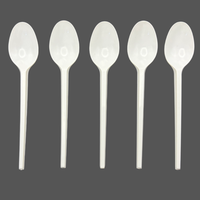 Ensemble de vaisselle jetable en plastique Hong Er pour fêtes et pique-niques, option logo personnalisé, noir/blanc/transparent, fourchettes, couteaux, cuillères en PS