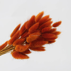 Ramo de Flores Secas de Cola de Conejo en Degradado de Colores Populares para Decoración de Bodas y Regalos, Lagurus Ovatus - Product Image 4