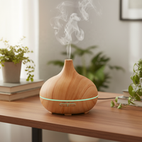 Diffuseur d'huiles essentielles pour la maison et l'hôtel, alimenté par USB, humidificateur d'aromathérapie 300 ml, brume froide silencieuse, chambre/salon