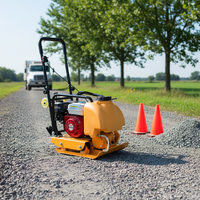 Compacteur à plaque vibrante mini Honda de qualité supérieure, essence/diesel, haute efficacité pour chantier de construction