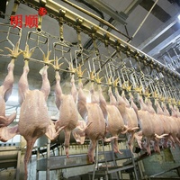 Ligne de production d'abattage de volailles à vendre - Usine d'abattage de poulets halal à chauffage vapeur