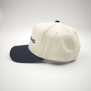 Gorra de Béisbol Deportiva de Algodón Oxford de Alta Calidad Personalizada, con 5 Paneles, Visera Curva, Logotipo Bordado en 3D y Diseño Estructurado - Product Image 4