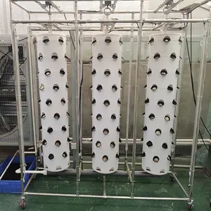 सबसे अच्छा बेच खड़ी Aeroponic टॉवर उद्यान बढ़ती प्रणाली