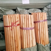 Vente en gros d'outils ménagers manche de balai en bois verni balai en bois vadrouille