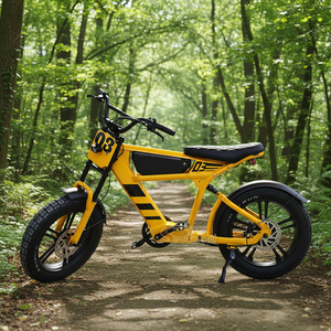 Duitsland Magazijn Voorraad Gratis Verzending 750W 48V Elektrische Fiets Elektrische Fietsen voor Volwassenen 2-Wiel Elektrische Fiets - Product Image 1