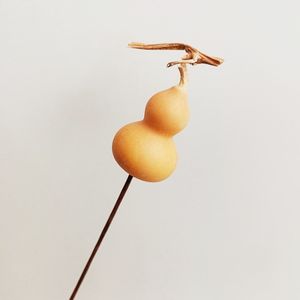 DFS51 labu Splicing kualitas tinggi INS bunga kering alami populer labu calabash & lagenaria <span class=keywords><strong>siceraria</strong></span> untuk dekorasi rumah - Product Image 2