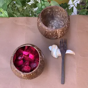 Diskon besar Amazon cangkir kelapa mangkuk kayu kelapa poles alami mangkuk smoothie pesta musim panas
