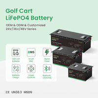 Batterie au lithium LiFePO4 pour véhicule électrique à quatre roues 24V/36V/48V/72V 60AH/80AH/100AH, 6000 cycles, garantie 3 ans, pour voiturette de golf et voiturette de club