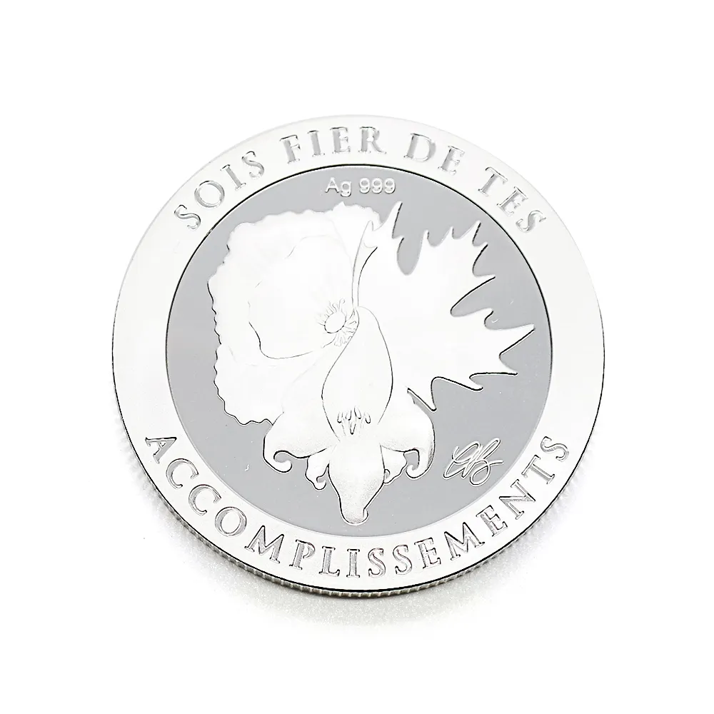 Custom Made Souvenir Challenge Coin Metal Zinc Alloy Enamel Coin 2D Sterling Silver Coin