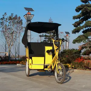 中国制造48v 20ah铅酸电池电动三轮车人力车，商用