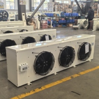 Enfriador de Aire de Techo Serie DJ, Evaporador para Cámaras Frigoríficas de Baja Temperatura, -25°C, Descongelación Eléctrica, OEM